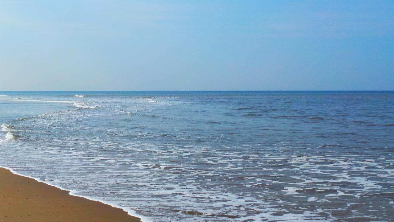 Hotel B&B Seahorse Katwijk aan Zee Екстериор снимка